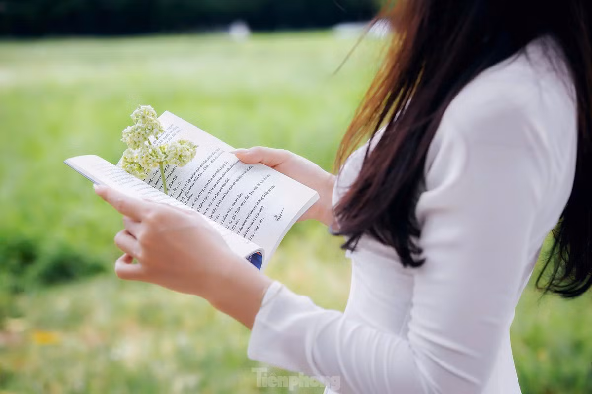 Thu Hà Nội cũng thật tình qua từng chùm hoa sữa ngọt ngào nỗi nhớ.