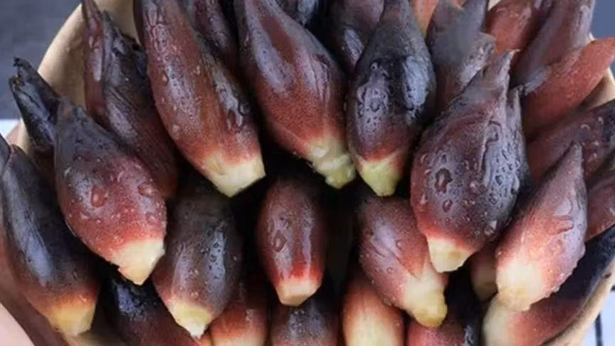 Loai rau rung ky la, bo duong duoc vi la 