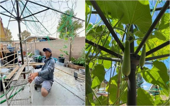 Ngọc Lễ - Phương Thảo giờ ra sao? - Hình 4 Ngoc Le - Phuong Thao gio ra sao?-Hinh-4