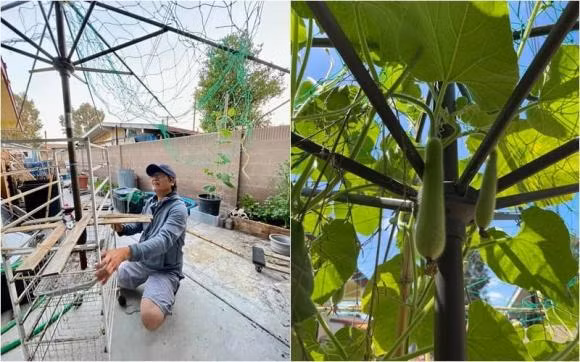 Ngọc Lễ - Phương Thảo giờ ra sao? - Hình 4 Ngoc Le - Phuong Thao gio ra sao?-Hinh-4