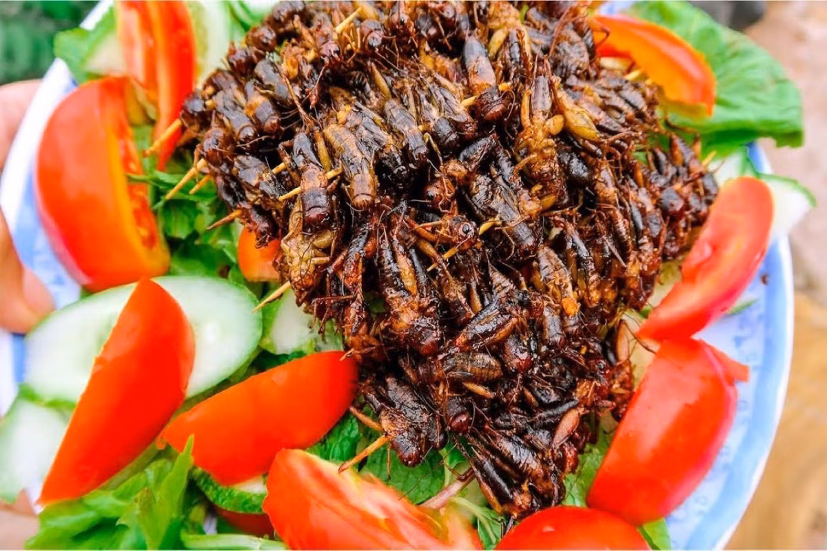 Top mon an dac san o Kon Tum, huong vi la mieng-Hinh-10