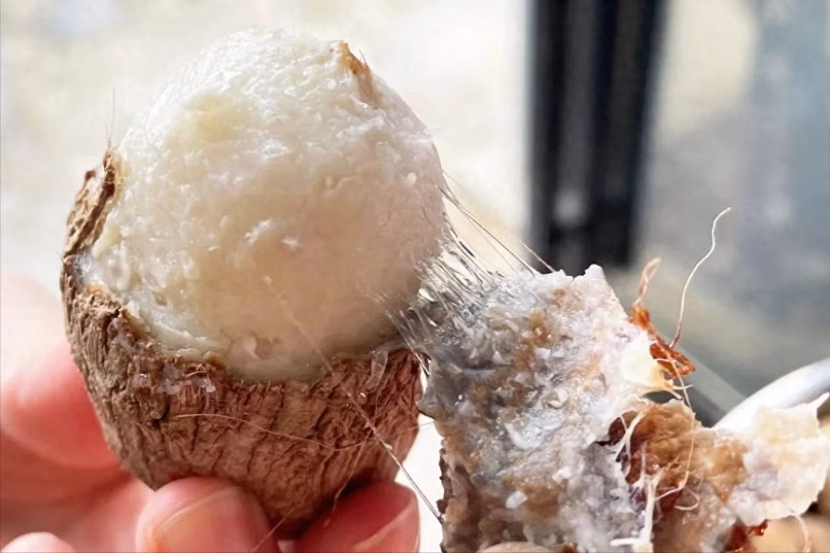 Loai cu co chat xo gap 10 lan gao, giau kali, duong da day