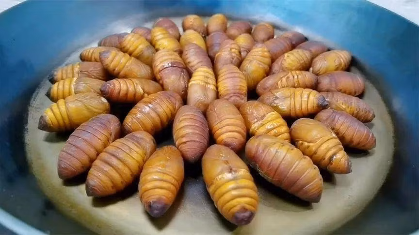 Loai thit co protein gap 10 lan trung, nhieu nguoi so hai