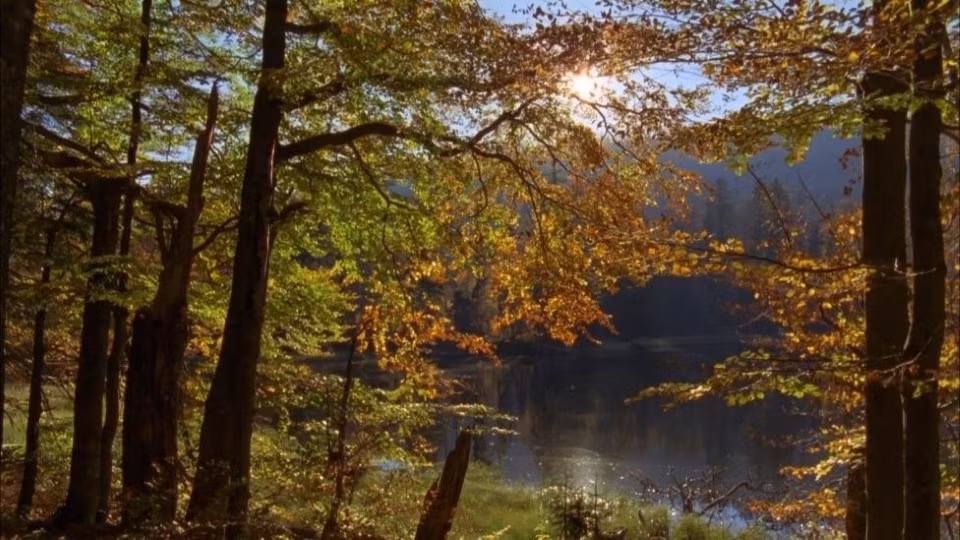 Ông Glueck đã dành 20 năm để săn tìm kho báu được mô tả trên tấm bản đồ và tin rằng kho báu chứa đầy vàng, kim cương, các tác phẩm nghệ thuật và tem quý hiếm. Phần lớn số tài sản này bị Đức Quốc xã cướp khỏi tay người Do Thái trong suốt thời kỳ diệt chủng. Thật không may, Glueck đã không thể khai quật kho báu do mâu thuẫn với chủ đất.