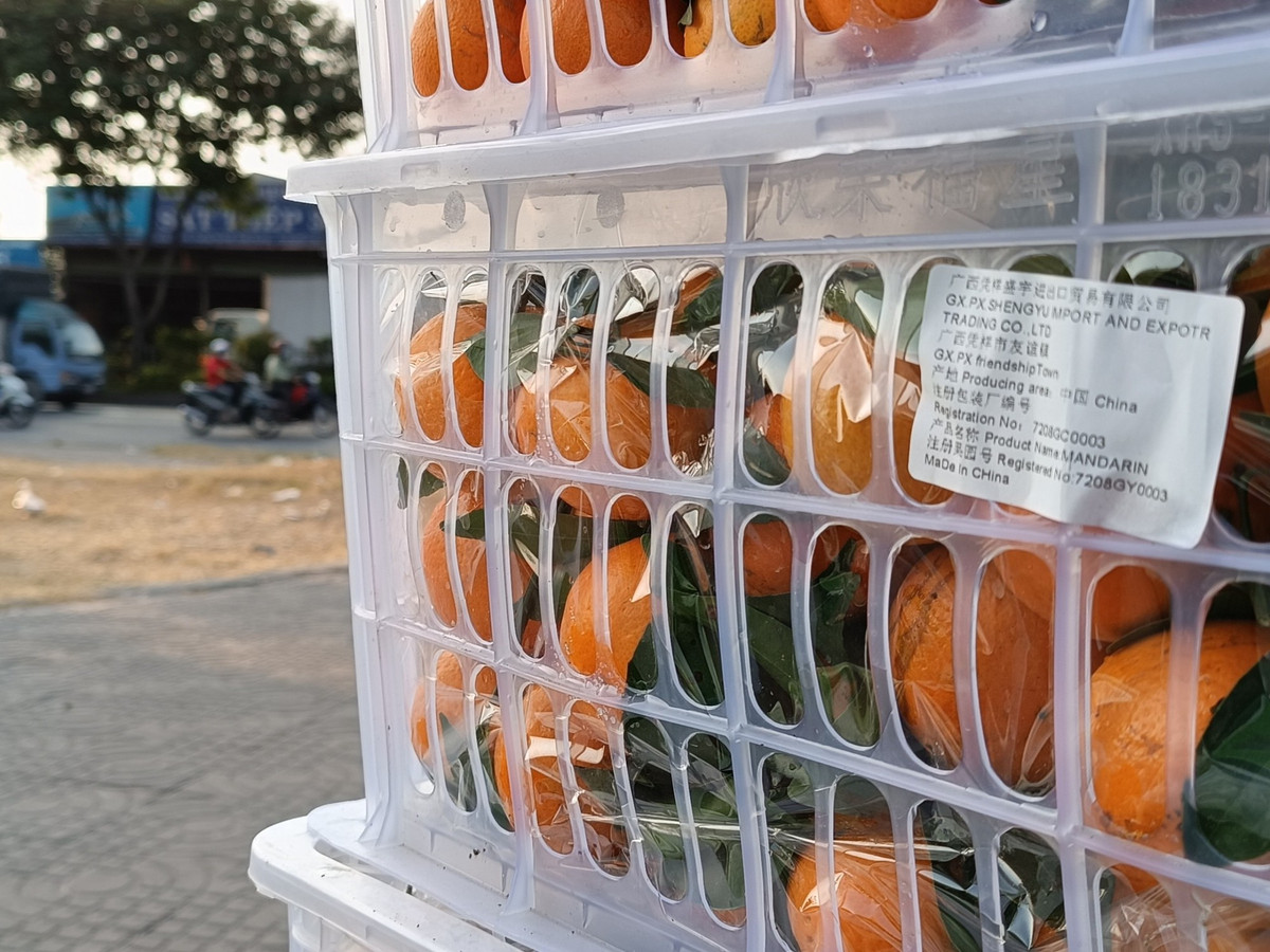 Nhung loai trai cay Trung Quoc duoc ua chuong tai Viet Nam-Hinh-2