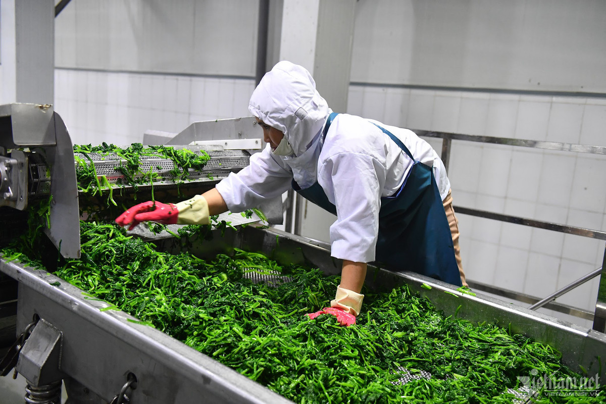 ‘Dai bang’ rot 71.000 ty, 'duoc mua rot gia' khong con loi nguyen