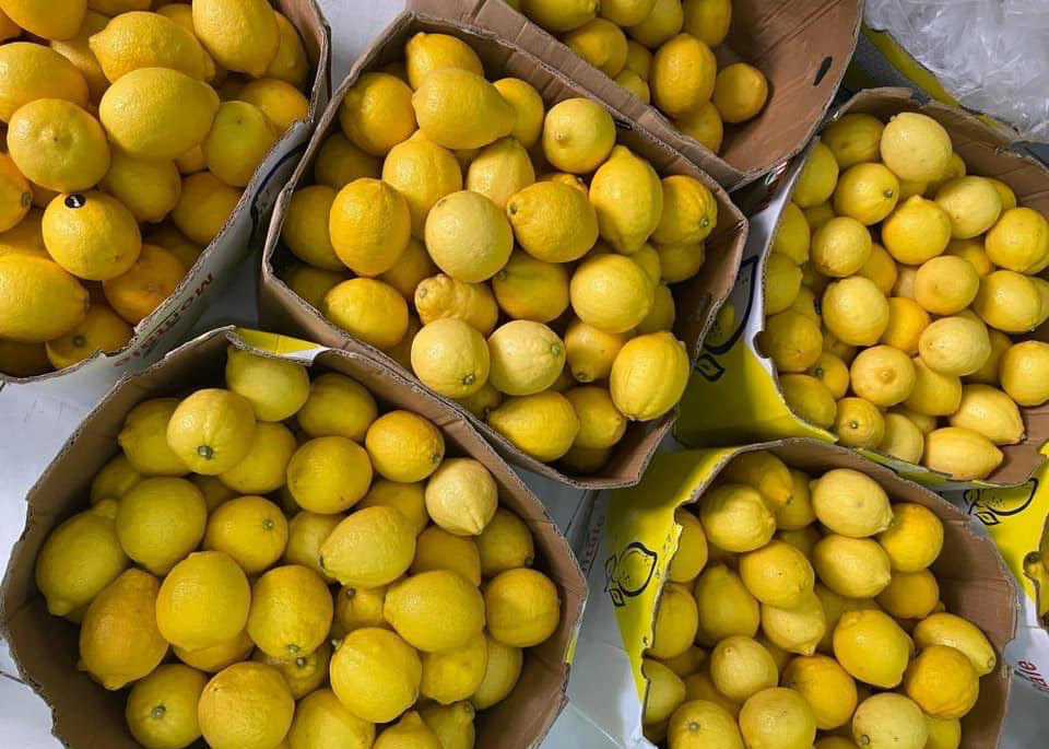 Hà Nội nắng đổ lửa, chanh vàng giải nhiệt 30.000 đồng/quả cháy hàng Ha Noi nang do lua, chanh vang giai nhiet 30.000 dong/qua chay hang