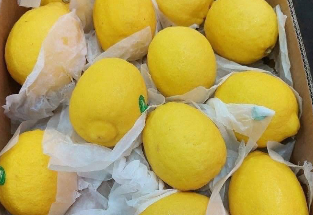 Hà Nội nắng đổ lửa, chanh vàng giải nhiệt 30.000 đồng/quả cháy hàng - Hình 2 Ha Noi nang do lua, chanh vang giai nhiet 30.000 dong/qua chay hang-Hinh-2