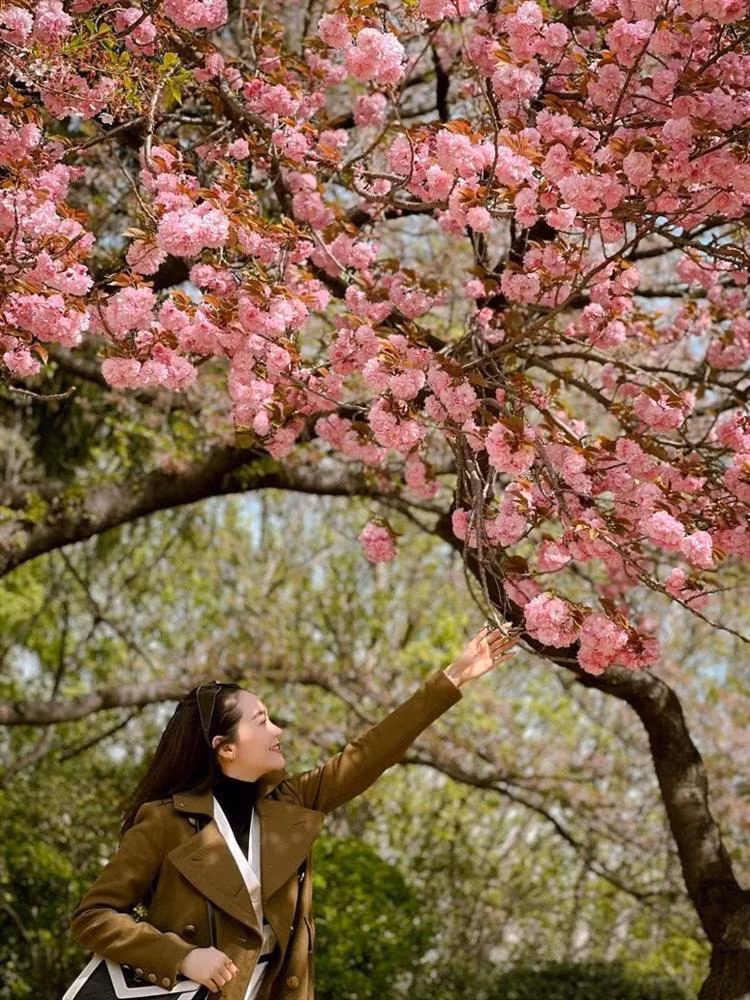 Chong Minh Hang chi duoc an sang cung vo khi di du lich-Hinh-8