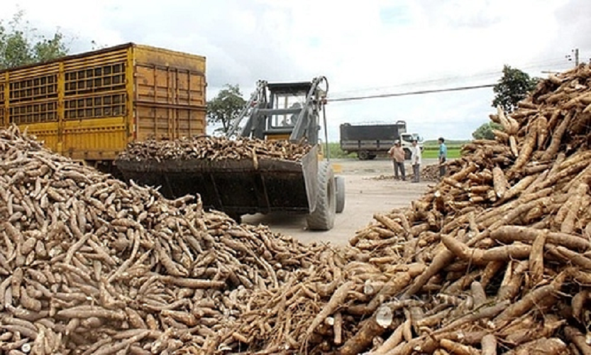 Trung Quoc mua tren 1 trieu tan san cua Viet Nam