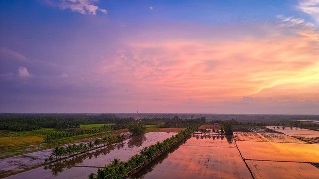 Chang trai nhan ra cai gia cua su binh yen khi ve que-Hinh-3