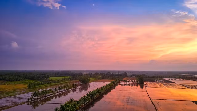 Chang trai nhan ra cai gia cua su binh yen khi ve que-Hinh-3