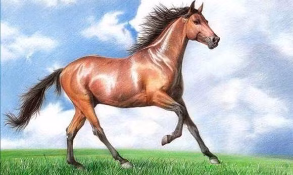 Trong 1 tuan toi, 4 con giap se dai phat dai loc-Hinh-2