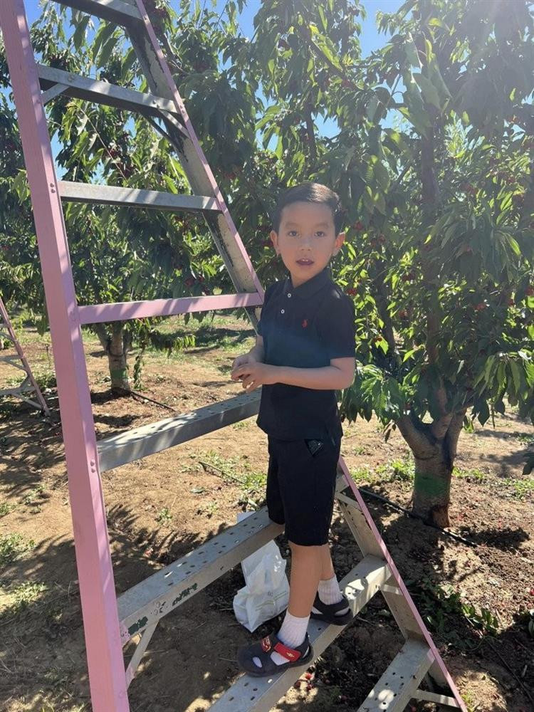 Quý tử nhà Hoa hậu Phạm Hương mới 5 tuổi sống chuẩn rich kid - Hình 2 Quy tu nha Hoa hau Pham Huong moi 5 tuoi song chuan rich kid-Hinh-2