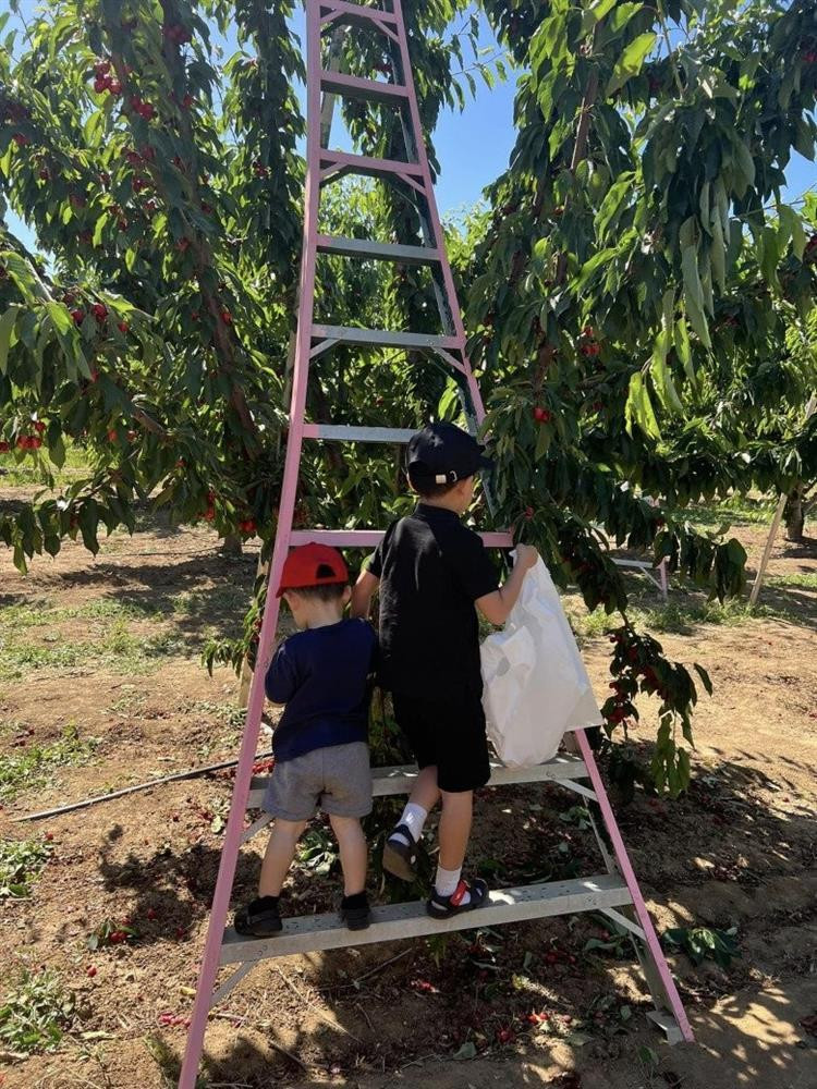 Quý tử nhà Hoa hậu Phạm Hương mới 5 tuổi sống chuẩn rich kid Quy tu nha Hoa hau Pham Huong moi 5 tuoi song chuan rich kid