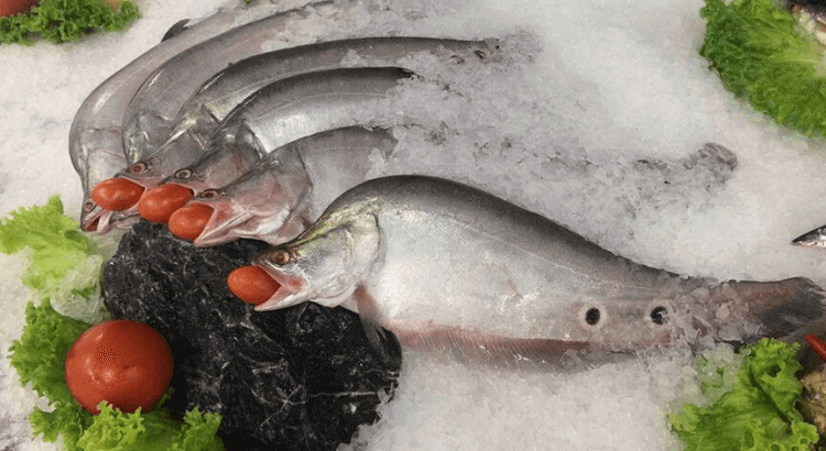 Loai ca “vua dinh duong”, nhieu chat beo, tot tim, bo than