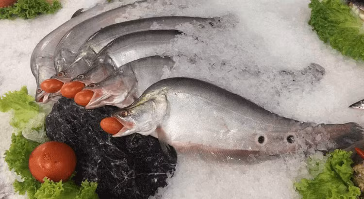 Loai ca “vua dinh duong”, nhieu chat beo, tot tim, bo than