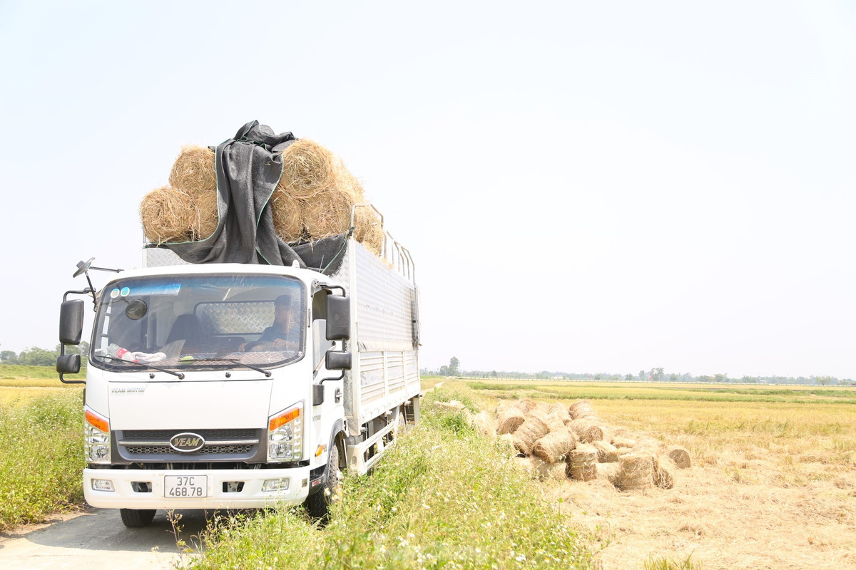 Doi nang 40 do C, kiem tien tu nghe cuon rom o Nghe An-Hinh-11