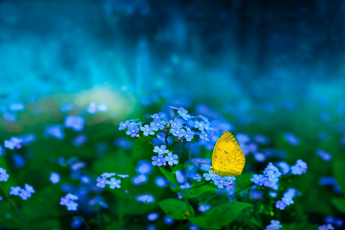 Ai sinh ngay Am lich nay “no muon”, cang ve gia cang giau co-Hinh-3