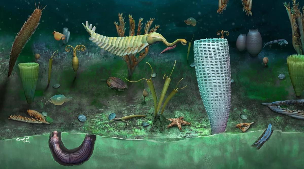 Mac ket vi COVID-19, dao boi phat hien kho bau 462 trieu tuoi