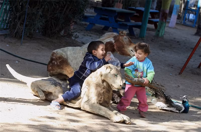 “Rùng mình” trước cảnh lấy xác thú khô làm đồ chơi ở Gaza ảnh 5