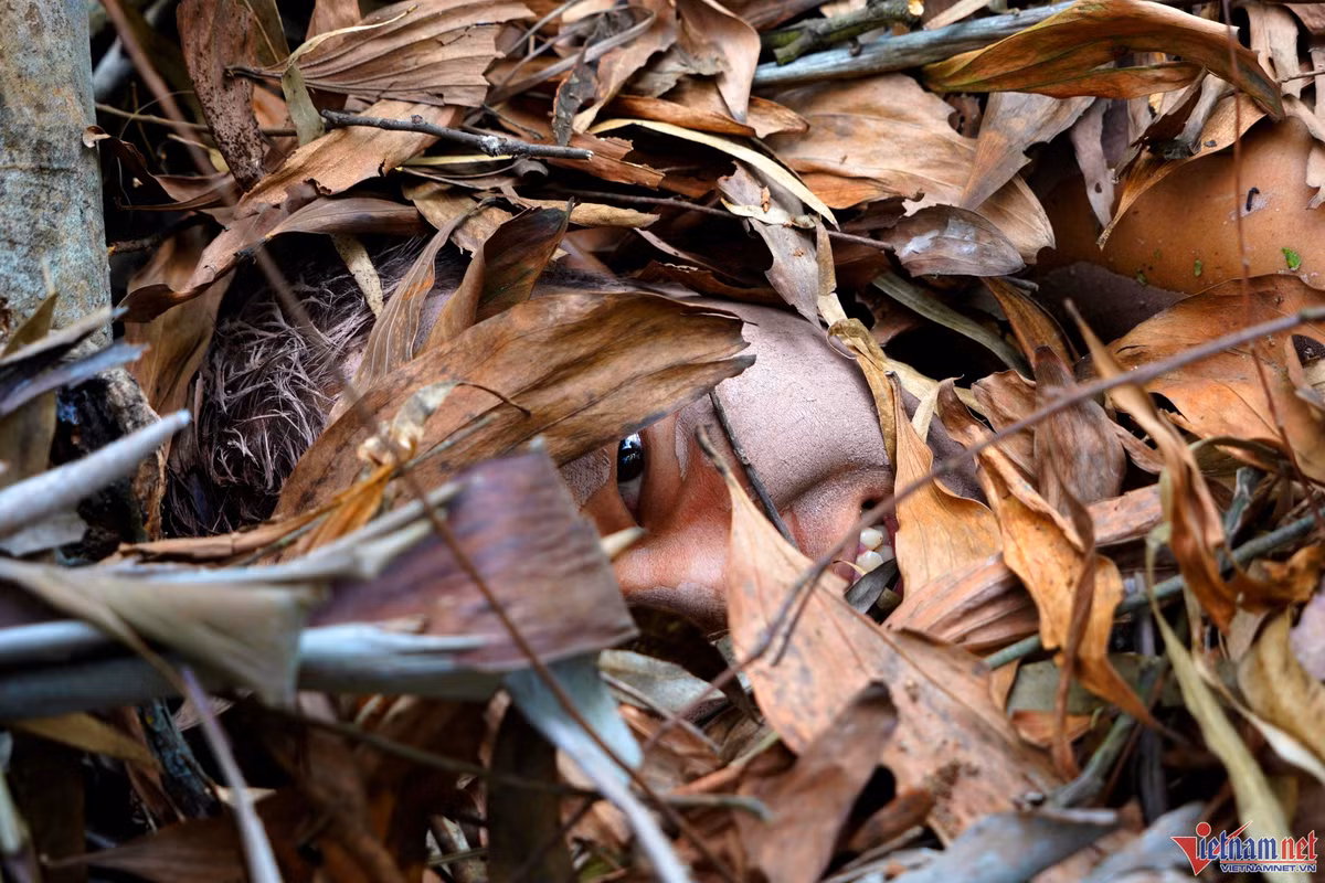 Khi ẩn mình trong đống lá khô, các chiến sĩ phải nằm im, kiến cắn không được gãi để chờ lệnh mới hành động. Trung tâm Huấn luyện quốc gia về phòng, chống khủng bố thuộc Bộ Tư lệnh Cảnh sát cơ động. Trung tâm được thành lập vào tháng 2/2022 tại phường Minh Thành, TX Quảng Yên (Quảng Ninh), có trách nhiệm tổ chức huấn luyện, bồi dưỡng về công tác phòng, chống khủng bố.