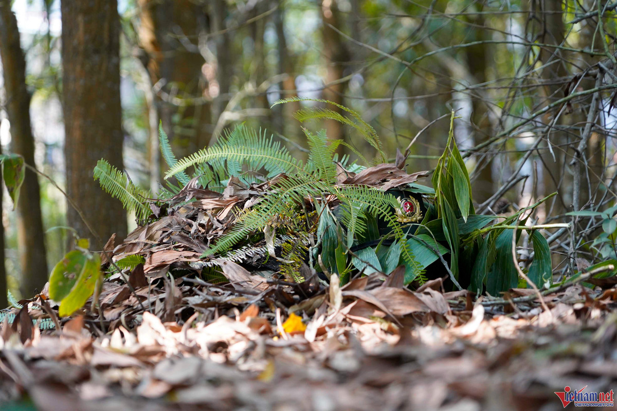 Một chiến sĩ đang nguỵ trang như đống lá khô và bụi cây khi luyện tập