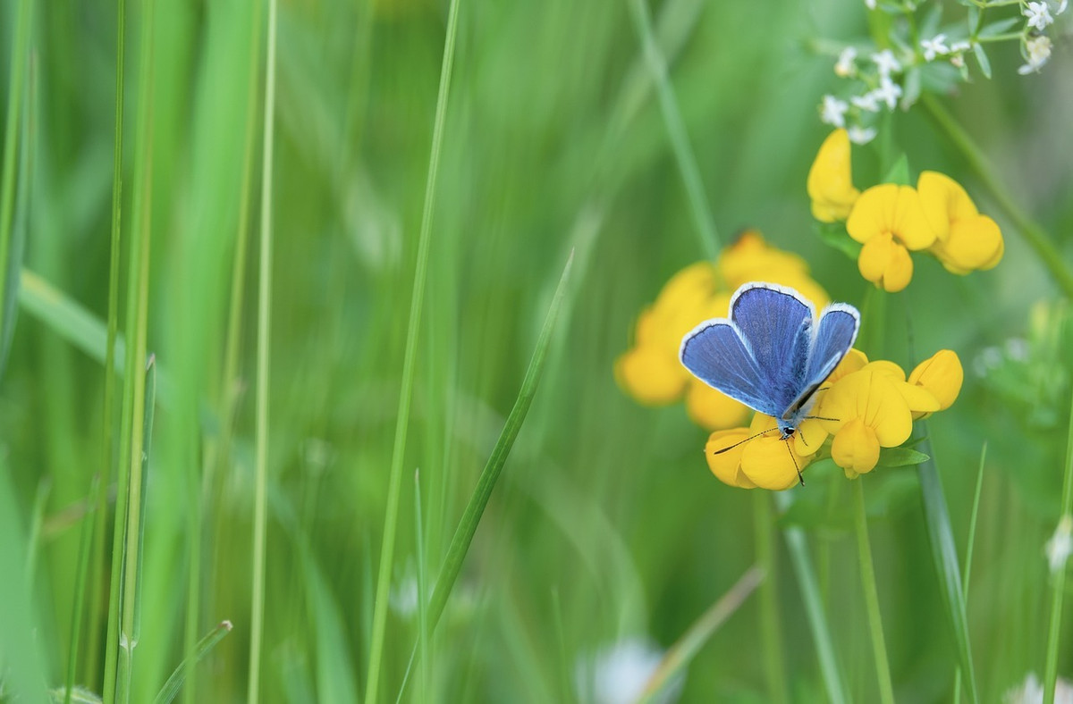  Sinh tháng 9 Âm lịch. Theo tử vi, người sinh tháng 9 Âm lịch luôn có khí chất của người chín chắn, tốt bụng. Dù hoàn cảnh sống thế nào, người sinh thời điểm Âm lịch này cũng rất hòa nhã, vui vẻ, quan tâm đến mọi người.