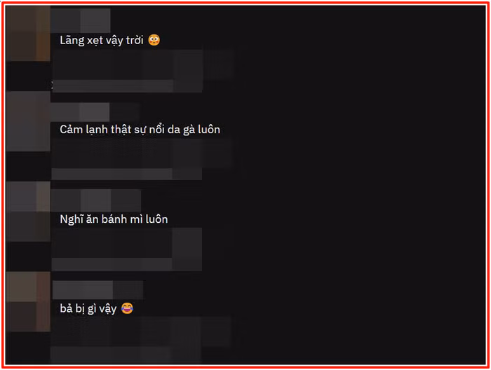 Le Quyen de mat moc du trend TikTok, dan mang phan doi ran ran-Hinh-9