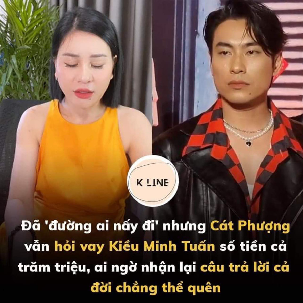 Trong lan song tin don that thiet: Nghe si Viet nguoi van xin, ke cuoi xoa