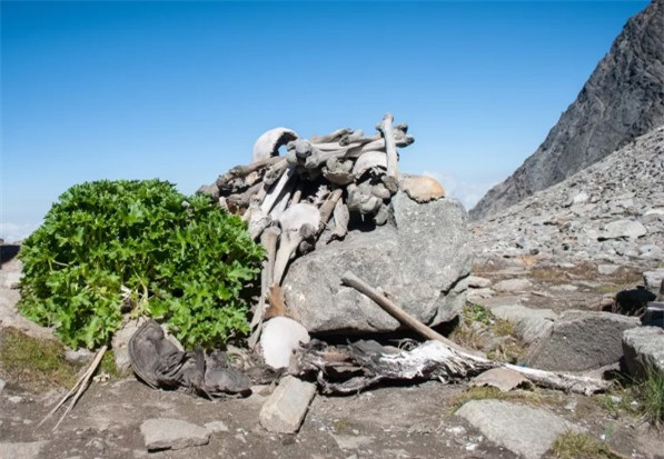 Nhung dia danh noi tieng rung ron lai rat hut khach-Hinh-2