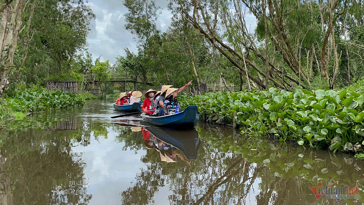 Den rung tram Tra Su, ngoi thuyen 'lac troi vao vung dat than tien'-Hinh-2