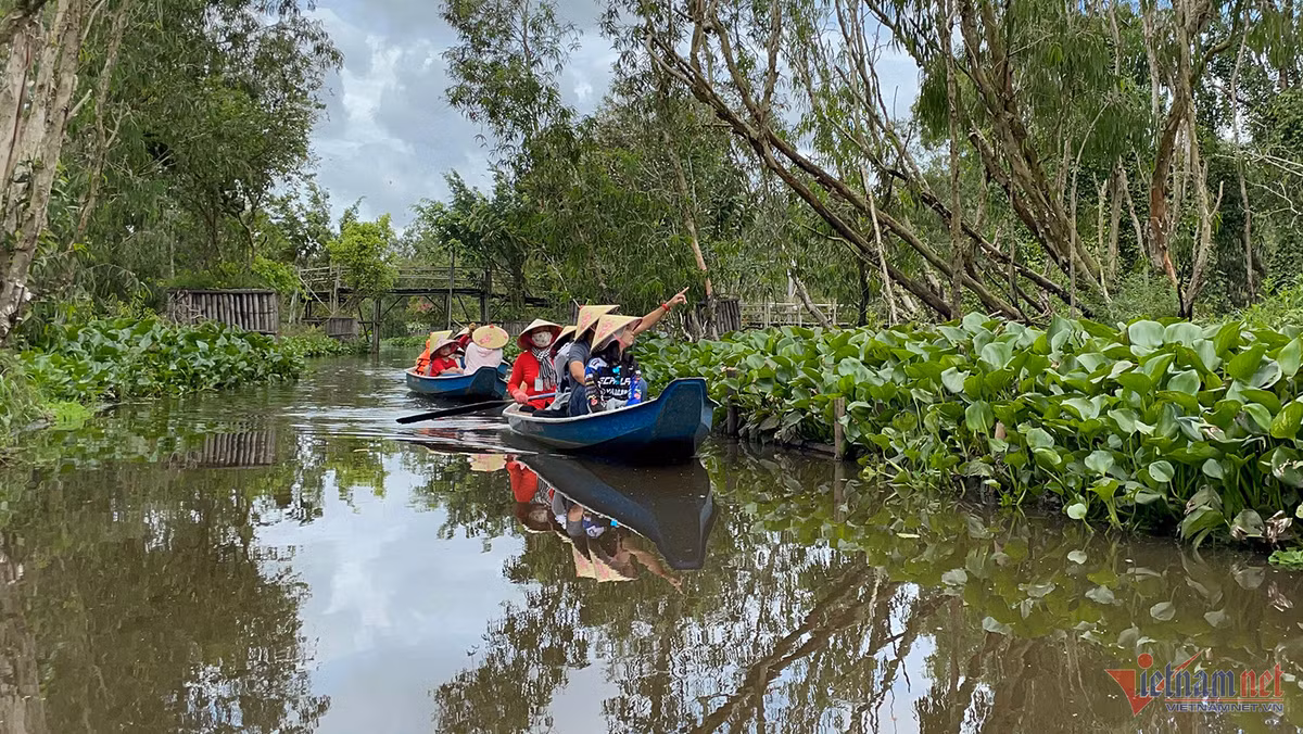 Den rung tram Tra Su, ngoi thuyen 'lac troi vao vung dat than tien'-Hinh-2