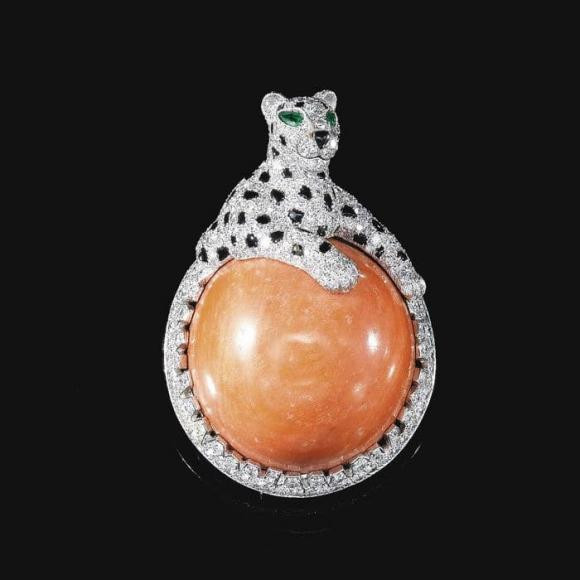 Mua oc ve nhau khong ngo doi doi nho nhat duoc vat la mau cam-Hinh-3