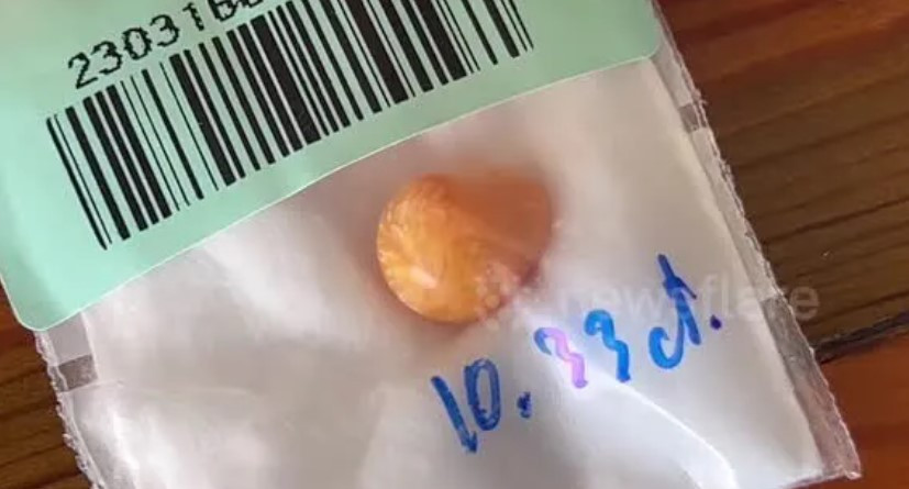 Mua oc ve nhau khong ngo doi doi nho nhat duoc vat la mau cam