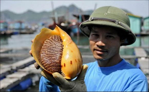 Mua oc ve nhau khong ngo doi doi nho nhat duoc vat la mau cam-Hinh-2