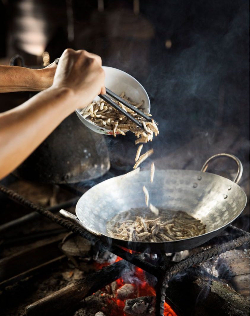 Món ăn gây sốc với nhiều người là đặc sản quý vùng Tây Bắc - Hình 2 Mon an gay soc voi nhieu nguoi la dac san quy vung Tay Bac-Hinh-2