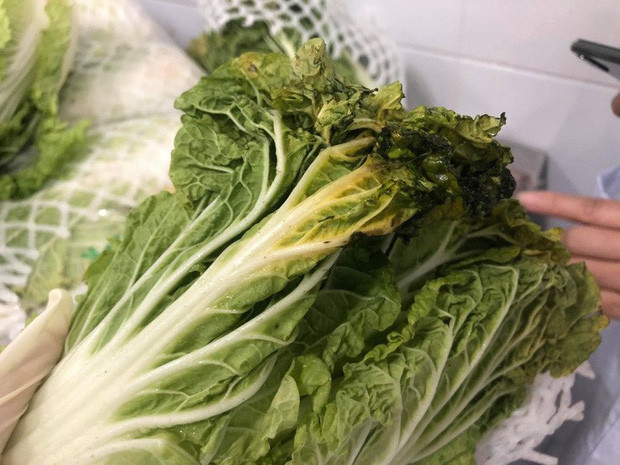 TP.HCM: Phu huynh bat khoc truoc bua an ban tru cua con lop 1-Hinh-7