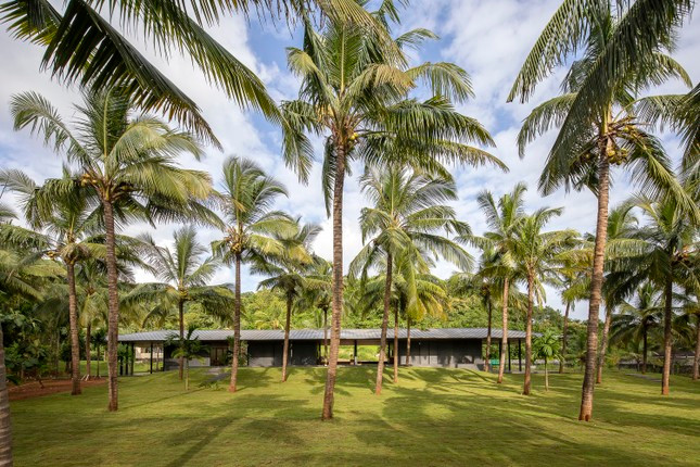 Ngôi nhà vườn sử dụng hệ thống cửa lùa công nghệ mới từ Bồ Đào Nha có tên là PANORAMAH, các cánh cửa có thể "giấu" trong tường rỗng giúp mở tầm nhìn ra khung cảnh rừng dừa xanh tươi.