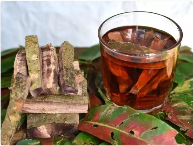 Vỏ cây Arjuna: Uống trà hoặc nước giải độc từ vỏ cây Arjuna và chiết xuất của nó có thể giúp đẩy lùi các bệnh tim mạch một cách tự nhiên bằng cách tăng cường cơ tim, giảm mức cholesterol và khắc phục tắc nghẽn trong động mạch. Điều này là do đặc tính chống oxy hóa và chống viêm mạnh mẽ của nó, giúp giảm mức độ cholesterol xấu (LDL) và chất béo trung tính. Vì vậy, vỏ cây Arjuna giúp cải thiện mức độ cholesterol tốt, điều cần thiết cho một trái tim khỏe mạnh.