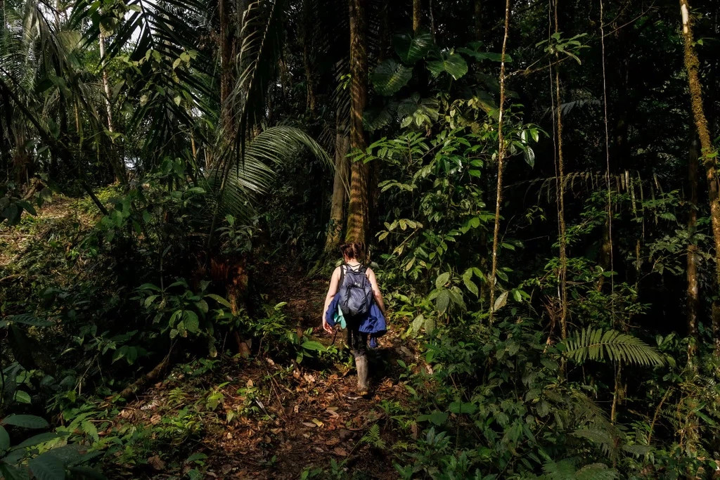 San tim loai nam hiem nhat trong rung Amazon-Hinh-5