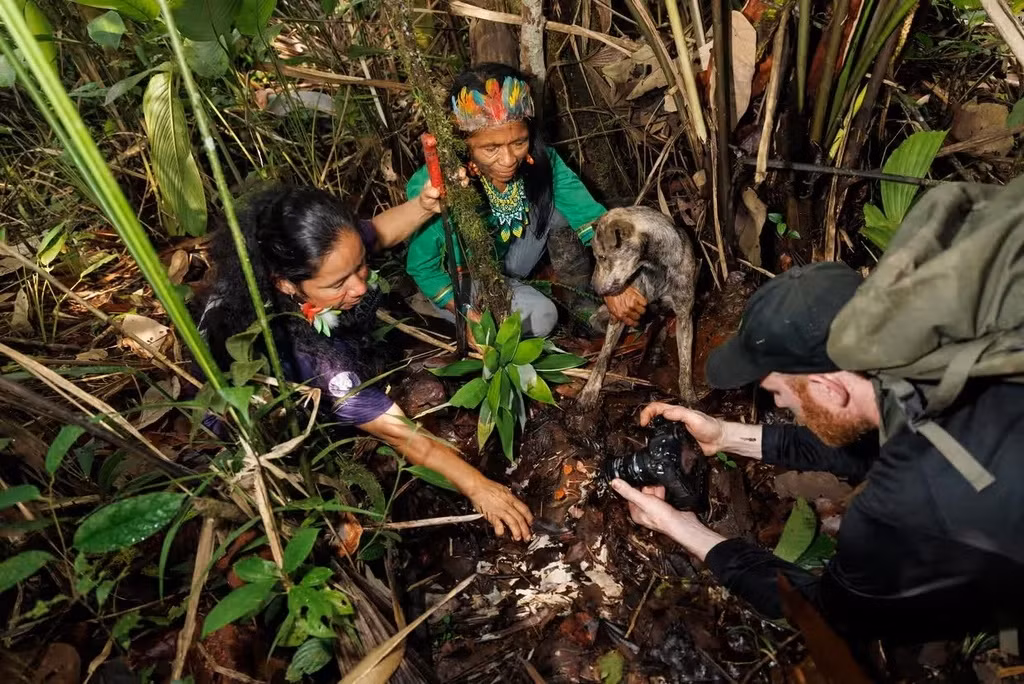 San tim loai nam hiem nhat trong rung Amazon-Hinh-11