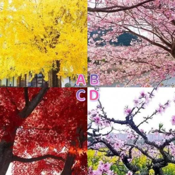 Trac nghiem tam ly: Ban chon chup anh cung cay nao de thu van ​​may