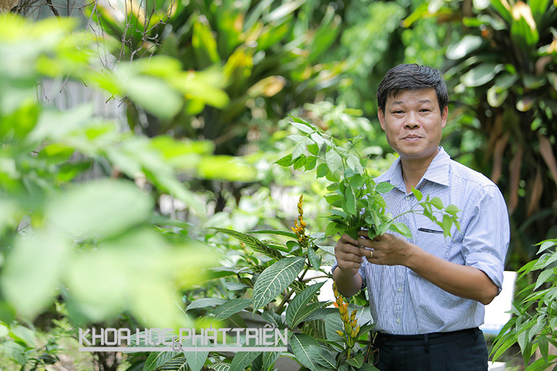 PGS-TS Tran Van On: Nguoi muon bien Viet Nam thanh vuon duoc lieu