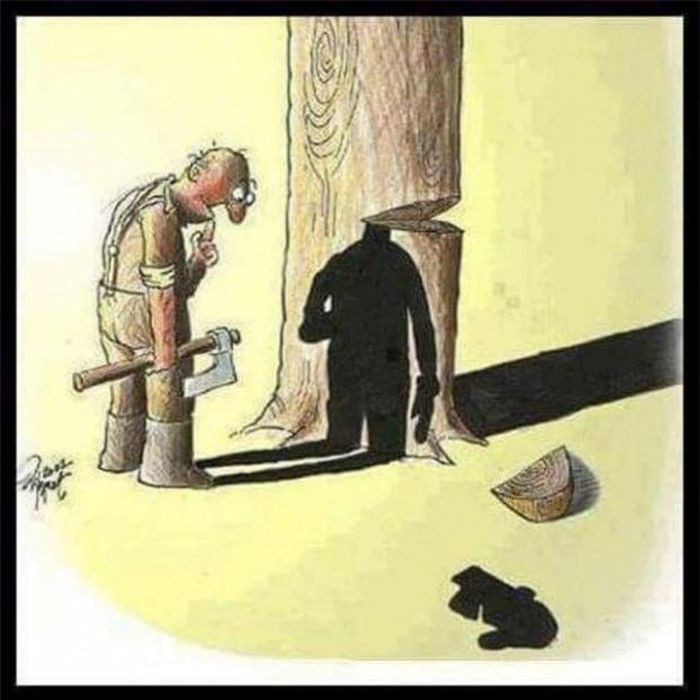 Đốn cây là triệt hạ luôn đường sống của mình.