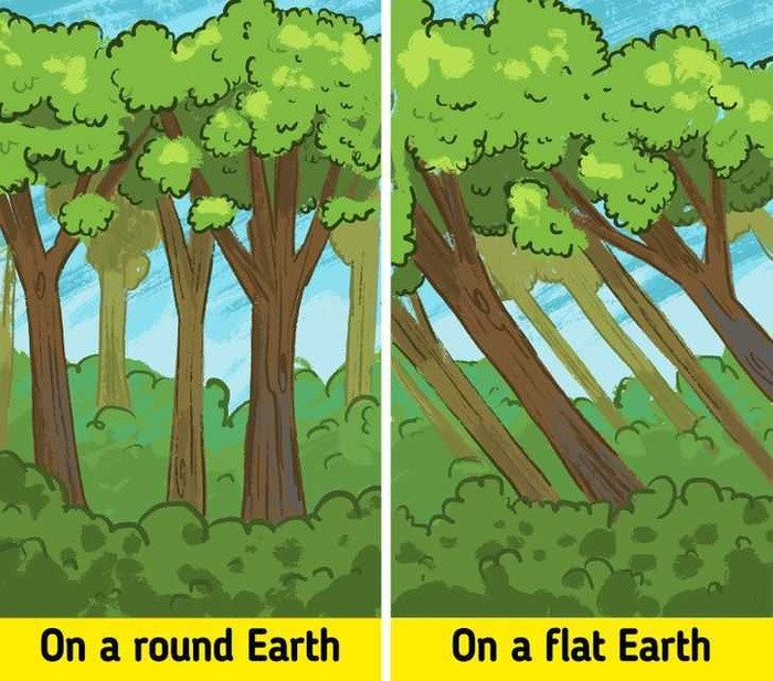2. Cây sẽ mọc theo đường chéo. Tên một Trái đất phẳng, cây cối và thực vật sẽ phát triển theo đường chéo. Phần rễ cây sẽ hướng về trung tâm trong khi phần ngọn cây sẽ phát triển theo hướng ngược lại.