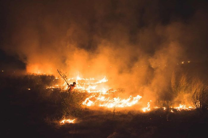 Giải thưởng "Nhiếp ảnh trẻ" thuộc về Amaan Ali với bức ảnh có tên "Inferno". Bức ảnh được Ali chụp tại New Delhi, Ấn Độ, nhân vật chính là một cậu bé đang tìm cách chống lại đám cháy rừng. Theo người dân địa phương, cháy rừng là hậu quả từ các hoạt động của con người. Cháy rừng thường xuyên xảy ra tại Ấn Độ do điều kiện sống ngày càng bất lợi. Ảnh: Amaan Ali.