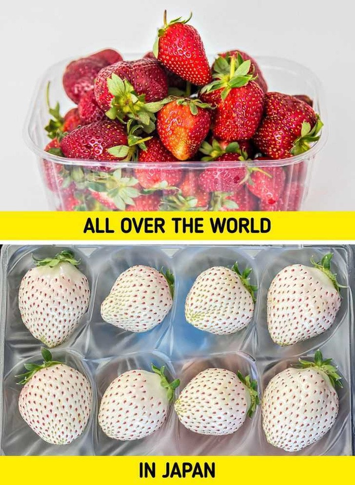 3. Bạn có thể tìm thấy những trái dâu tây trắng này ở chợ Nhật Bản. Dâu tây trắng có vị ngọt, mùi thơm như dứa.