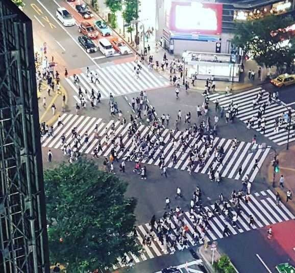 8. Có hơn 300 ngã tư ở Nhật Bản. Bạn có thể băng qua đường theo đường chéo.