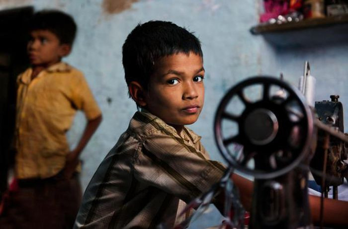 Nguồn: Tổng hợp